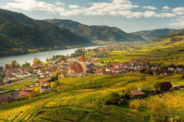 Weissenkirchen Wachau Avusturya sonbahar renkli yaprakları ve viney