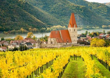 Weissenkirchen Wachau Austria in autumn colored leaves and viney clipart