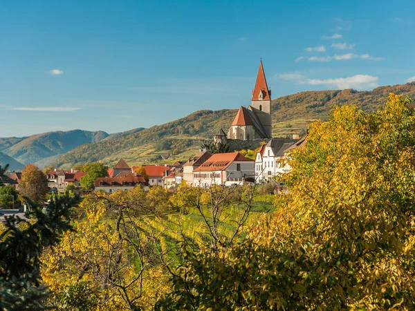 Weissenkirchen Wachau Austria in autumn colored leaves and viney — Stock Photo, Image