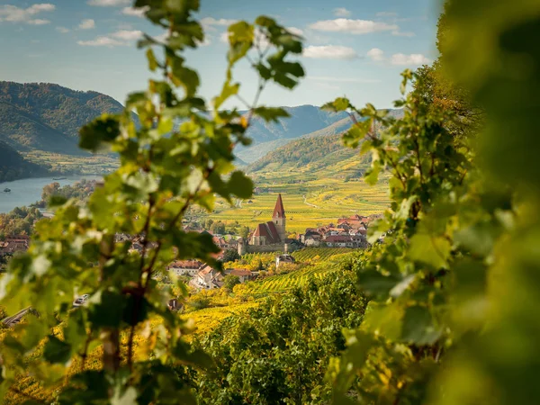 Weissenkirchen Wachau Austria in autumn colored leaves and viney — Stock Photo, Image