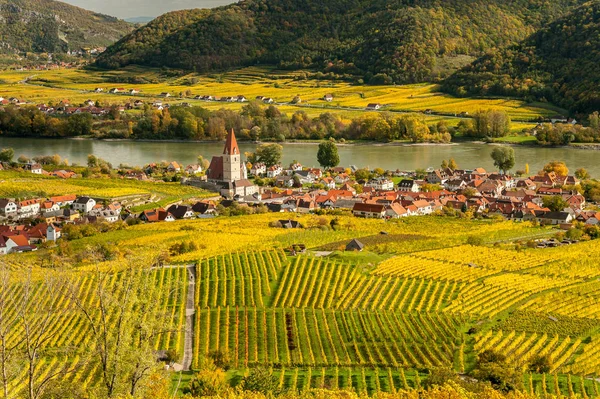 Weissenkirchen Wachau Oostenrijk in gekleurde herfstbladeren en viney — Stockfoto