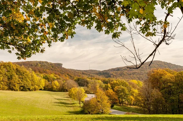 Bosque caducifolio cerca de Viena, Austria en otoño — Foto de Stock