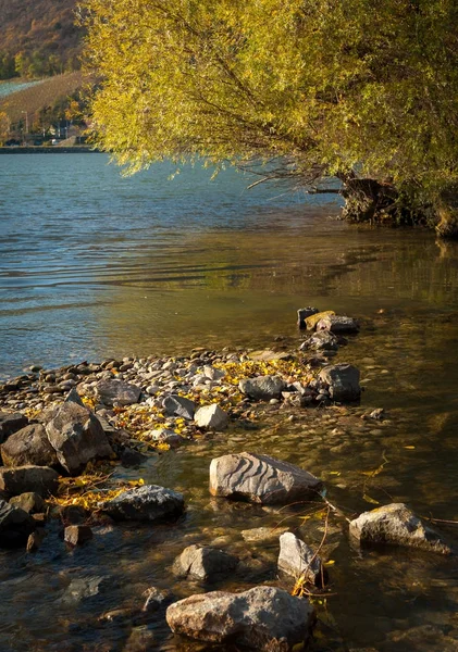 Batu di sungai dan daun berwarna musim gugur — Stok Foto