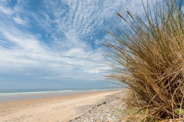 Yaz aylarında Normandy Fransa'da bir plajda plaj çimen