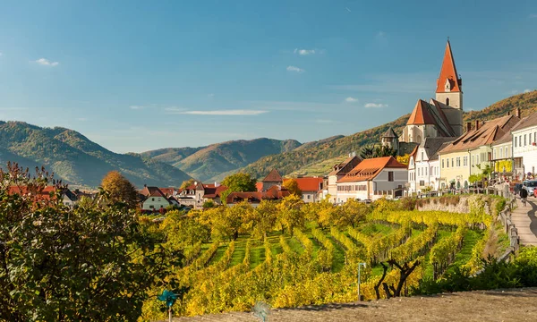 Weissenkirchen in der Wachau Áustria vinhas no Outono — Fotografia de Stock