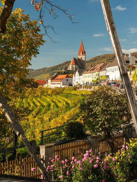 Weissenkirchen in der Wachau Austria vineyards in autumn — Stockfoto