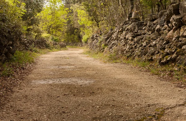 Estrada rural com muros de pedra na ilha de Cres — Fotografia de Stock