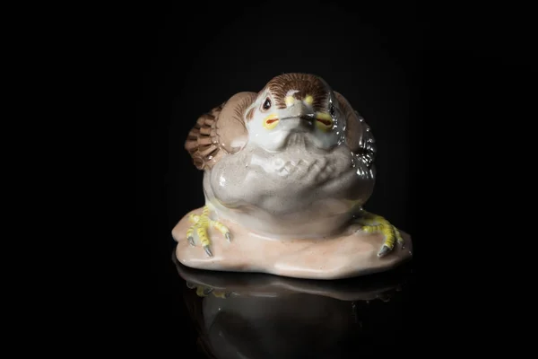 Close-up van een klein porseleinen sparrow staande op een reflecterende su — Stockfoto