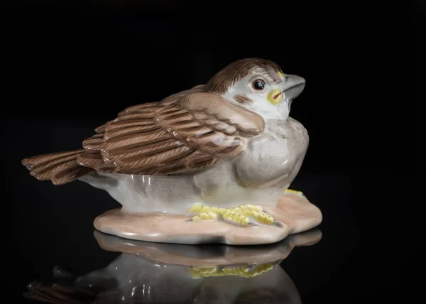 Close-up van een klein porseleinen sparrow staande op een reflecterende su — Stockfoto