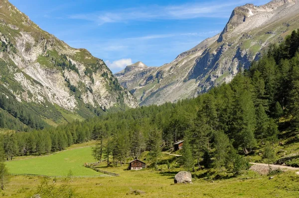 Valle nelle Alpi austriache in estate in una giornata di sole — Foto Stock