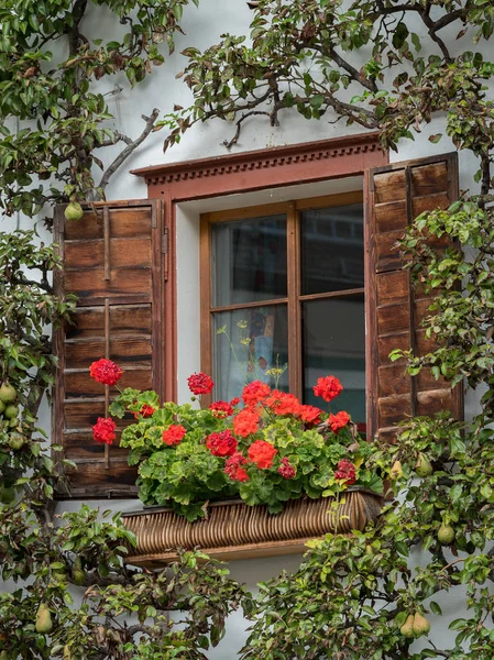 Holzfenster mit Petunien und Birnbaum in Hallstatt — Stockfoto