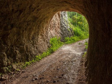 Bir orman yolu ve Avusturyalı Rettenbachtal tünelde
