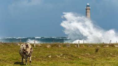Fırtınalı bir günde yaz aylarında Phare du cap de la Hague, Fransa Normandy