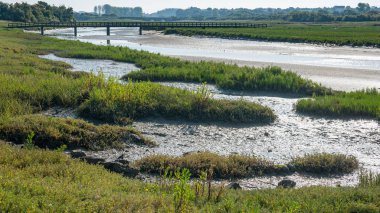 Köprü ve nehir Portbail Normandiya Fransa
