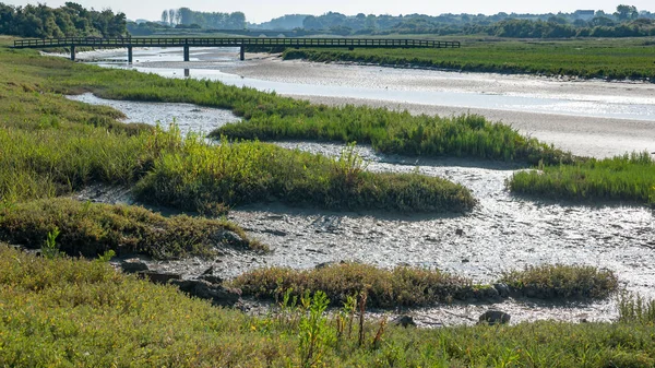 Köprü ve nehir Portbail Normandiya Fransa