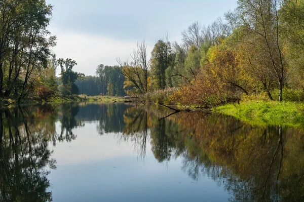 Río tranquilo y reflejando árboles coloridos en otoño — Foto de Stock