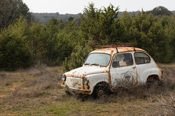 Un viejo accidente de coche oxidado de pie en un jardín — Foto de Stock