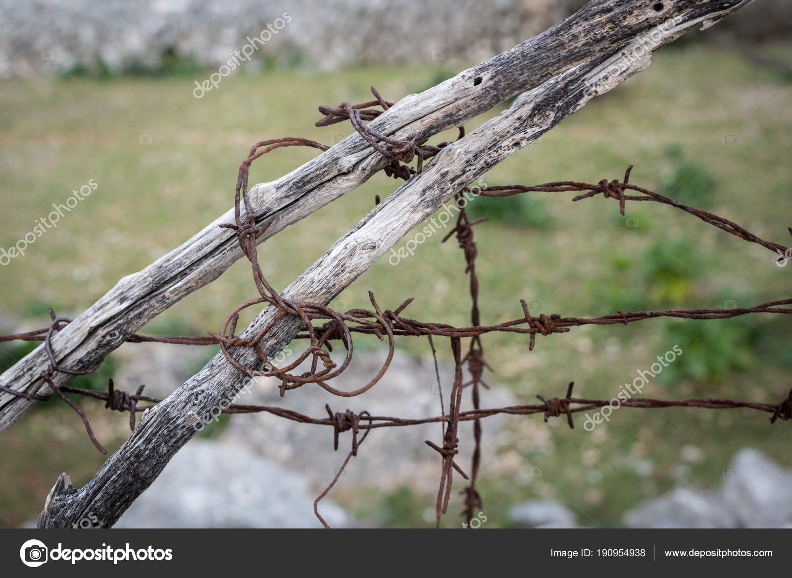 rusty barbed wire