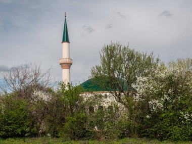 Bahar bulutlu bir günde Viyana'da Camii