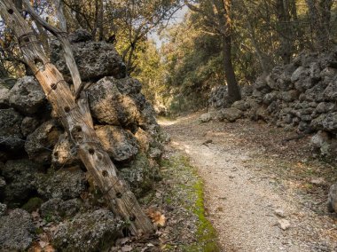 Hırvatistan'da hiking Trail boyunca eski taş duvarlar