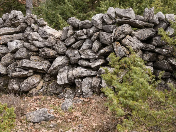 Un viejo muro de piedra en el bosque en Croacia — Foto de Stock