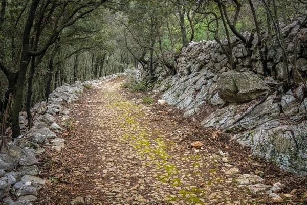 Estrada romana velha perto de Cres na Croácia — Fotografia de Stock