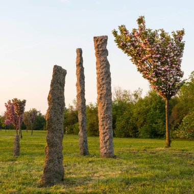 Kirazlar çiçek ve bahar güneşli sabahı Japonca Park Taş Heykel Sergisi