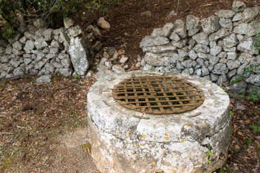 Bir eski iyi bir ormandaki demir ızgara ve taş duvar tarafından kapalı.