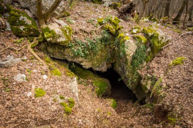Hırvatistan karstik mağaranın giriş