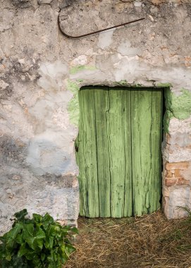 Çok eski yıpranmış küçük taze boyalı yeşil kapı ahşap