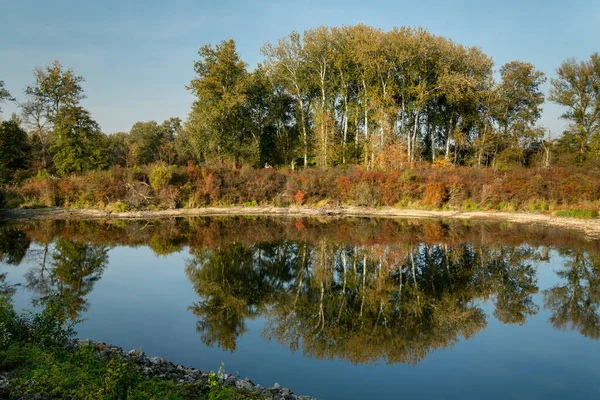 Pequeño estanque en el Parque Nacional del Danubio en un día soleado en otoño — Foto de Stock