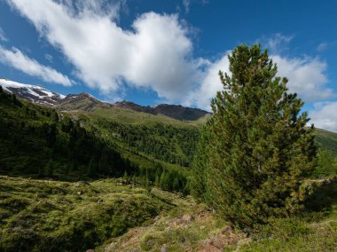 Yazın güneşli bir günde Melago yakınlarında vadi ve dağlar