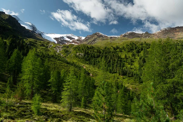 Valle e montagne vicino a Melago in una giornata di sole in estate — Foto Stock