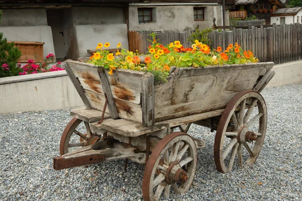 Ein alter Holzwagen mit schönen Blumen — Stockfoto