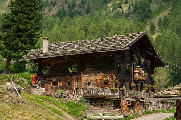 An old wooden farmer house on a sunny day in summer — Stock Photo, Image