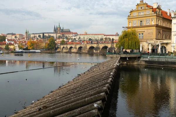 Rzeka Wełtawa, Most Karola i strażnicy lodowi w Pradze w słoneczny dzień jesienią — Zdjęcie stockowe