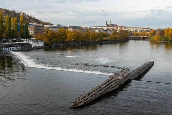 Řeka Vltava a Pražský hrad za slunečného dne na podzim — Stock fotografie