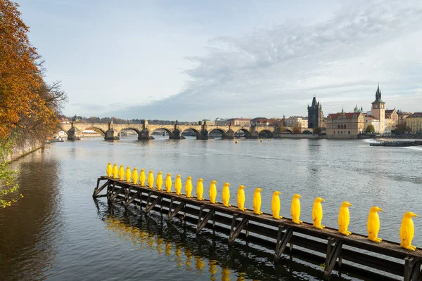 Una fila di pinguini gialli davanti al ponte Carlo a Praga in una giornata nuvolosa in autunno — Foto Stock