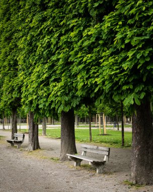 Viyana 'daki Augarten Park' taki banklar baharda bulutlu bir günde