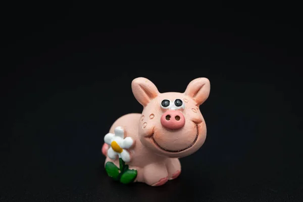 Beeldje van een kleine piggy met een witte bloem — Stockfoto