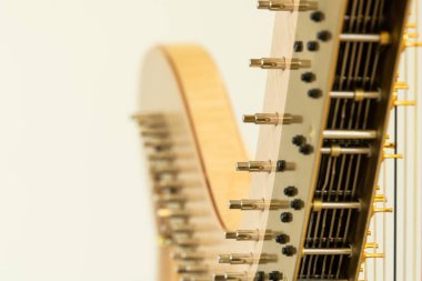 Klasik bir arp ve müzik aletinin ayrıntıları