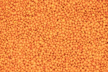 Kırmızı mercimeklerden yapılan soyut arkaplan