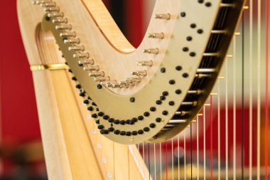 Klasik bir arp ve müzik aletinin ayrıntıları