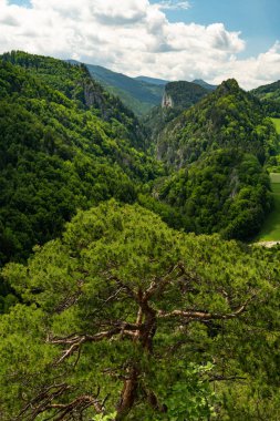 Yazın güneşli bir günde Semmering dağlarının manzarası