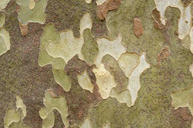 Bir uçağın kabuğunun özeti.