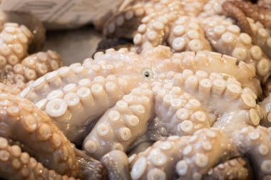 Taze ahtapot, Venedik 'te balık pazarı (İtalya))