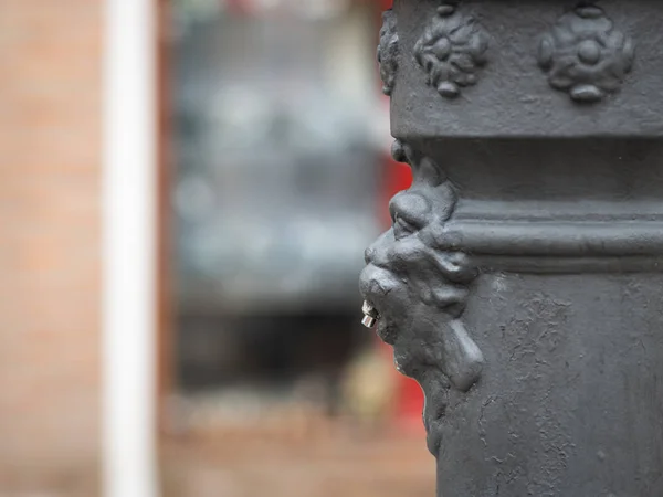 Closeup Uma Fonte Com Cabeça Leão Bronze Veneza Itália — Fotografia de Stock