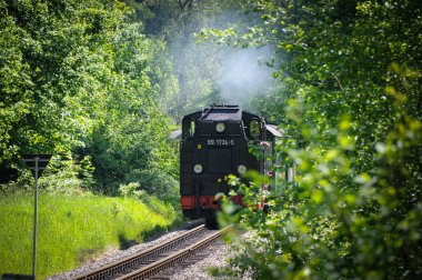 Güneşli bir günde, ormandan geçen buharlı bir tren.
