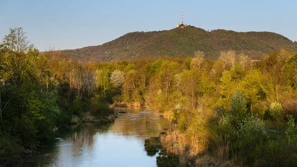 Leopoldsberg Marchfeldkanal Viena Austria Una Mañana Clara Primavera — Foto de Stock