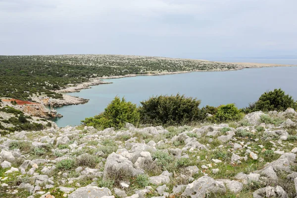 Buchten Bei Belej Einem Bewölkten Frühlingstag Insel Cres Kroatien — Stockfoto